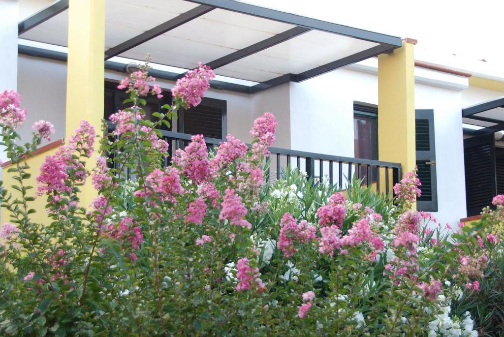 Elia Apartments アフィトス 部屋 写真